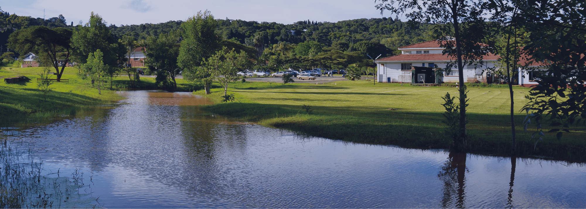 Heritage School - Grounds 1